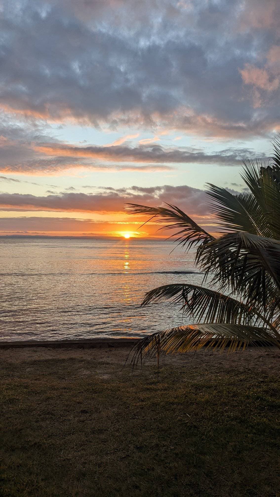 Le Grand Sud - Image 8