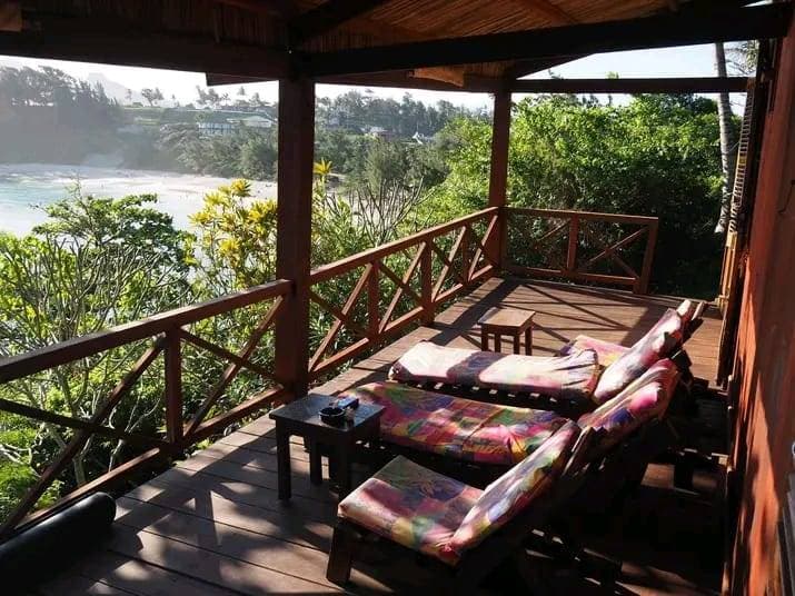 Le Grand Sud - Image 2